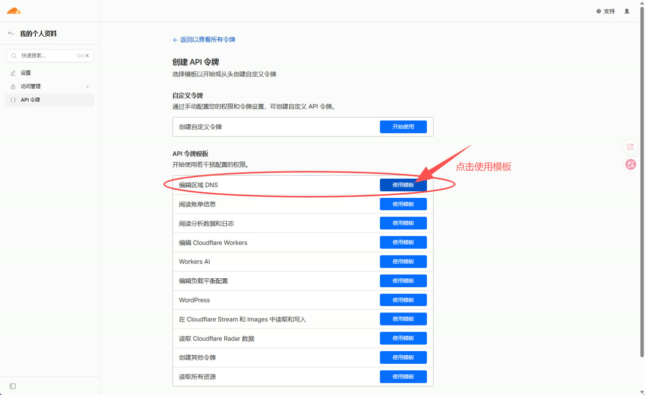 选择编辑区域 DNS 模板